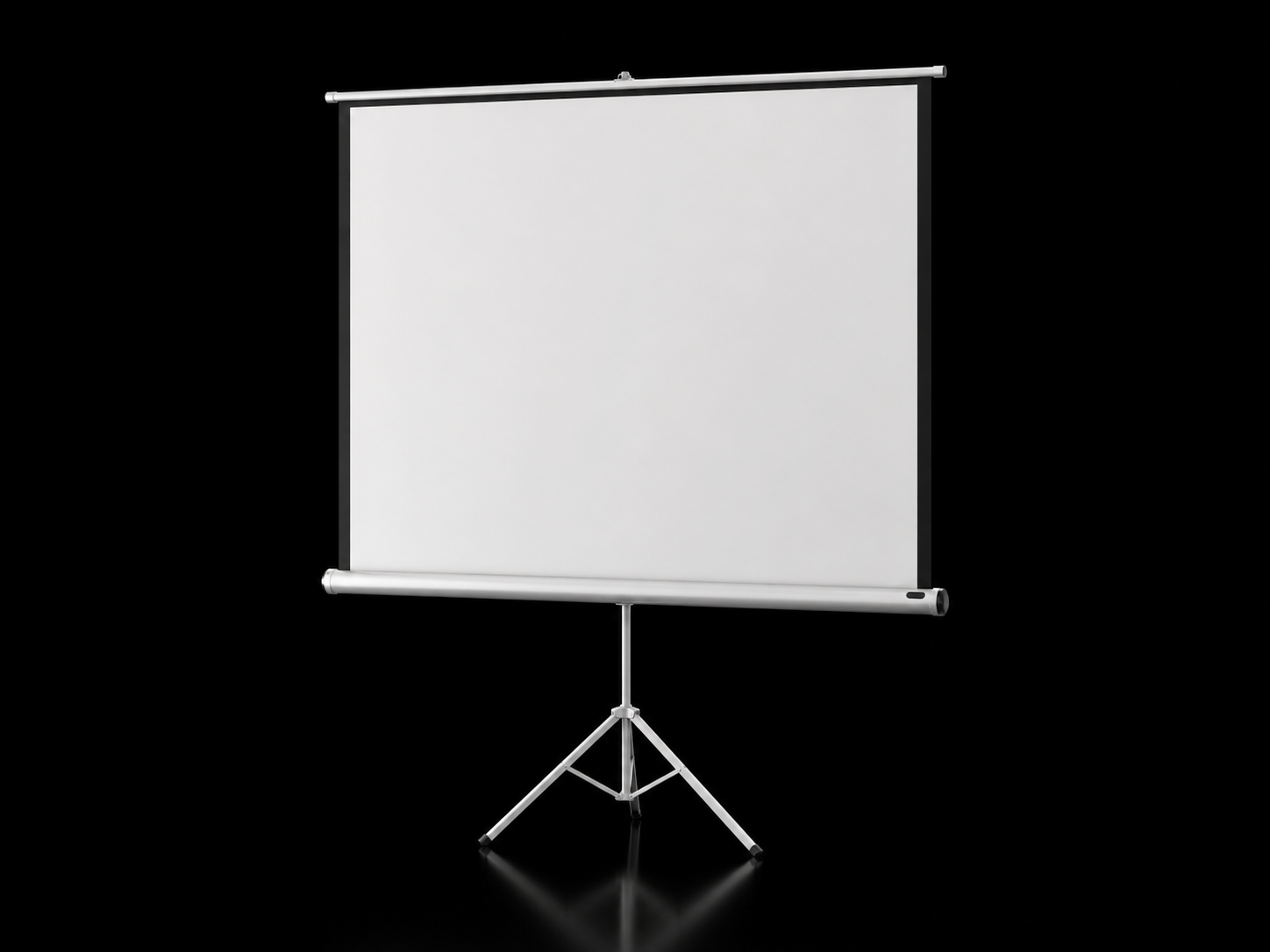 Professionelle Leinwand